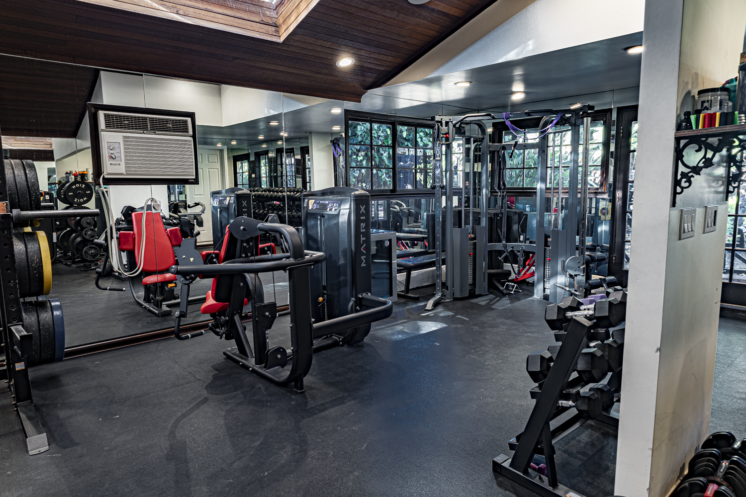 Matrix selectorized machines, functional trainer, and dumbbell rack beside black steel windows looking onto greenery